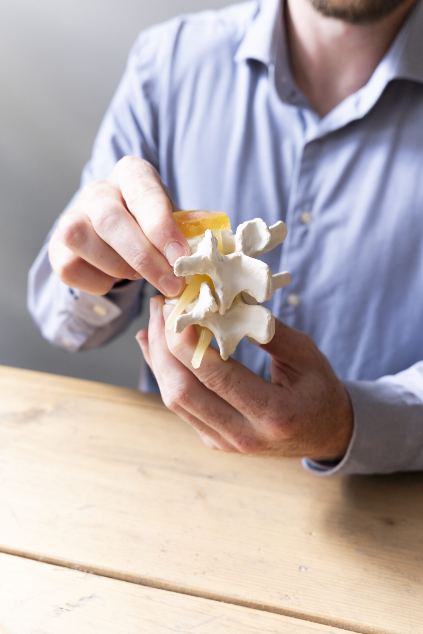 chiropractor legt werking wervelkolom uit
